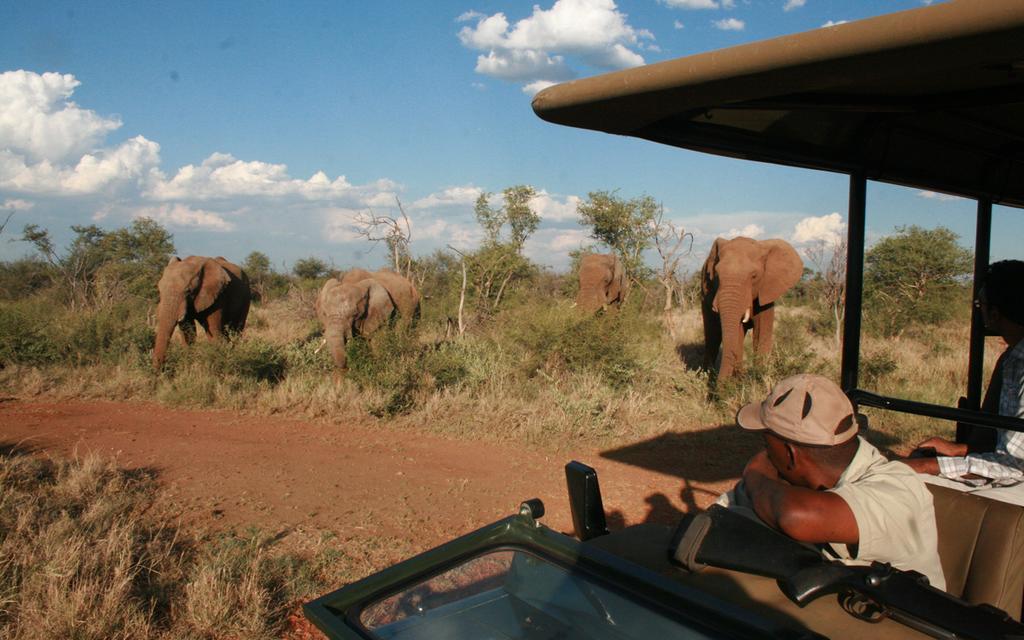 Etali Safari Lodge Madikwe Game Reserve Exterior photo