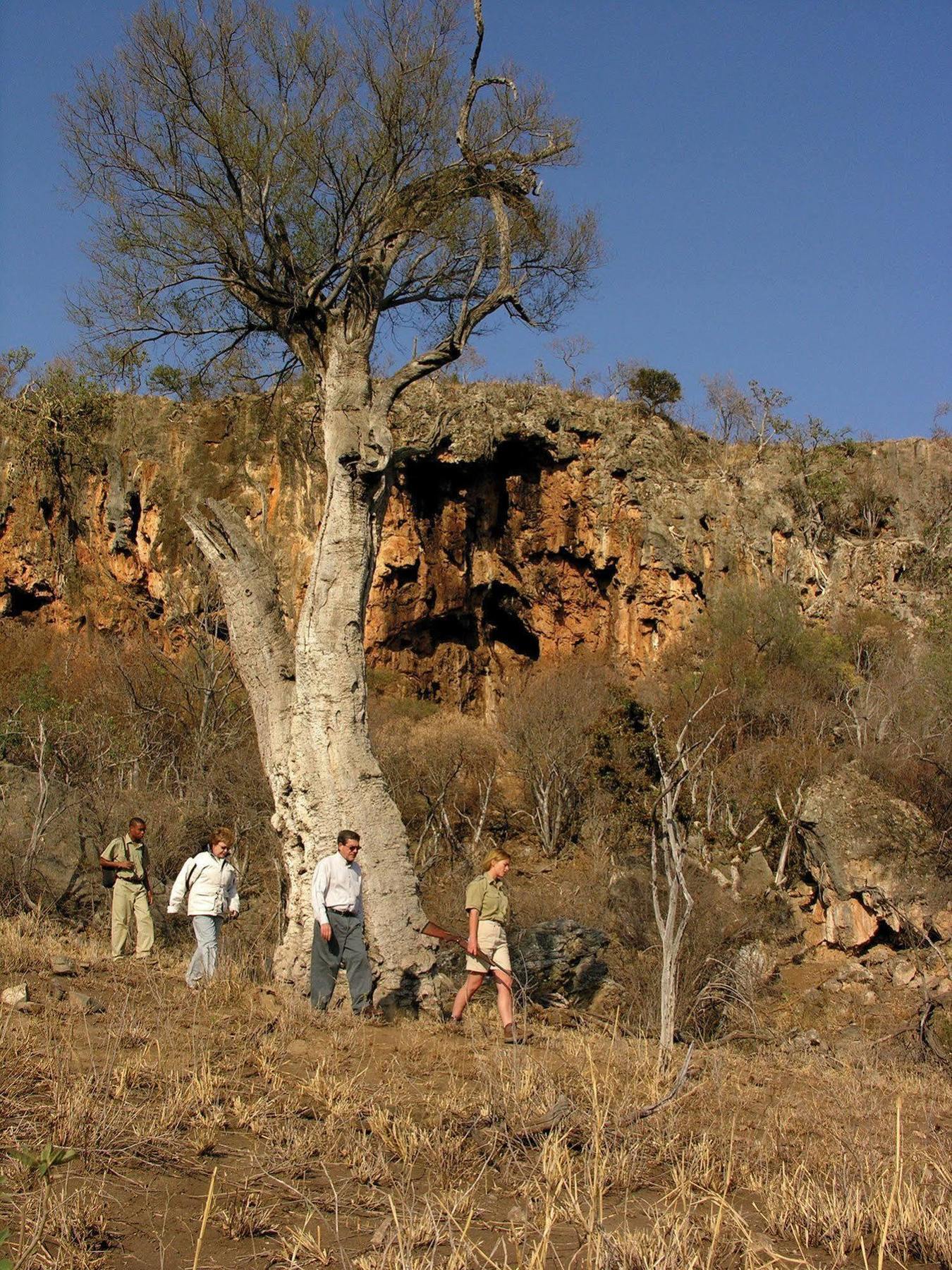 Etali Safari Lodge Madikwe Game Reserve Exterior photo