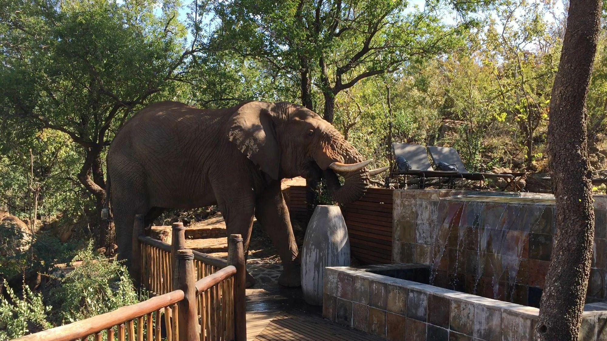 Etali Safari Lodge Madikwe Game Reserve Exterior photo